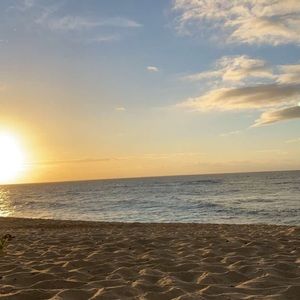 Meet your Posher, Faye